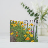 Carte Postale Fleurs & Clôture à claire-voie (Debout devant)