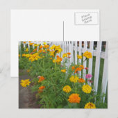 Carte Postale Fleurs & Clôture à claire-voie (Devant / Derrière)