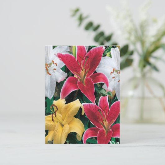 Carte postale Fleurs colorées (Debout devant)