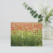 Carte Postale Fleurs Colorées de Printemps (Debout devant)