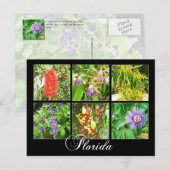Carte Postale Fleurs colorées en Floride (Devant / Derrière)