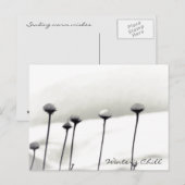 Carte Postale Fleurs couvertes de neige (Devant / Derrière)