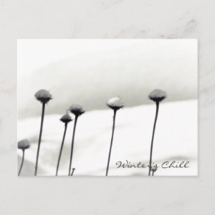 Carte Postale Fleurs couvertes de neige