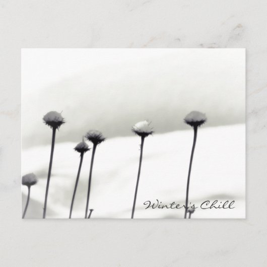 Carte Postale Fleurs couvertes de neige (Devant)