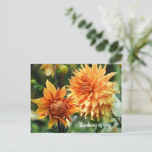 Carte Postale Fleurs dahlia orange et jaune à Wisley Gardens (Debout devant)