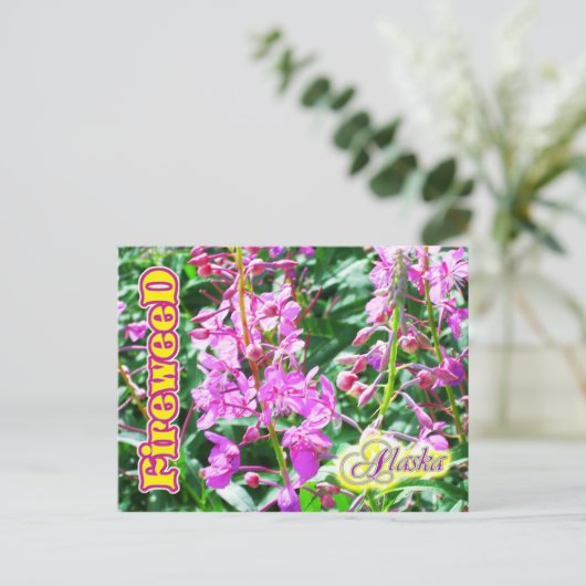 Carte Postale Fleurs d'algues roses en Alaska (Debout devant)