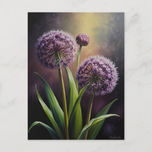 Carte Postale Fleurs d'Allium