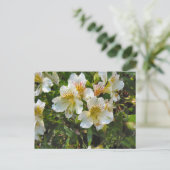 Carte Postale Fleurs d'Alstroemeria (Debout devant)