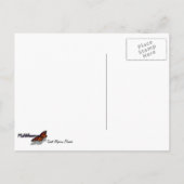 Carte Postale Fleurs d'Alyssum doux Floral blanc (Dos)