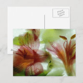 Carte Postale Fleurs dans la glace (Devant / Derrière)