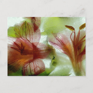 Carte Postale Fleurs dans la glace