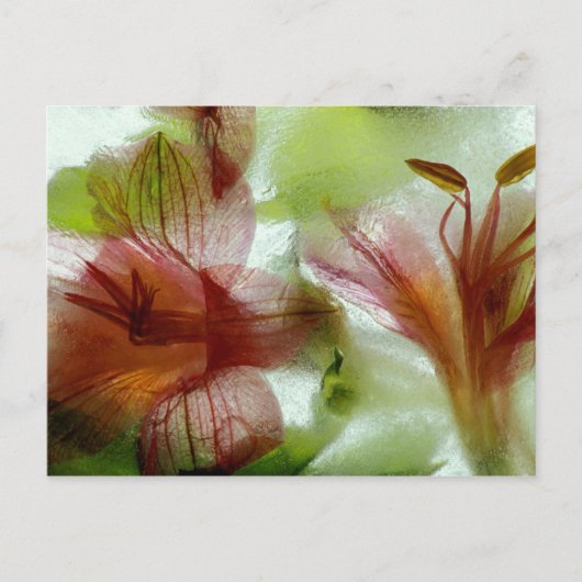 Carte Postale Fleurs dans la glace (Devant)