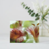 Carte Postale Fleurs dans la glace (Debout devant)