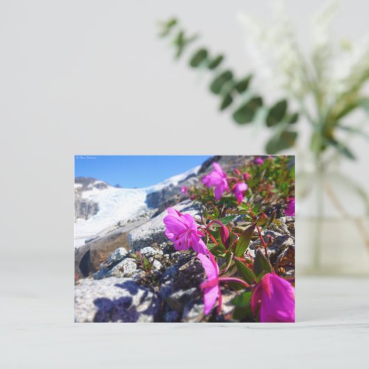 Carte Postale Fleurs dans la tranchée Gilkey (Debout devant)