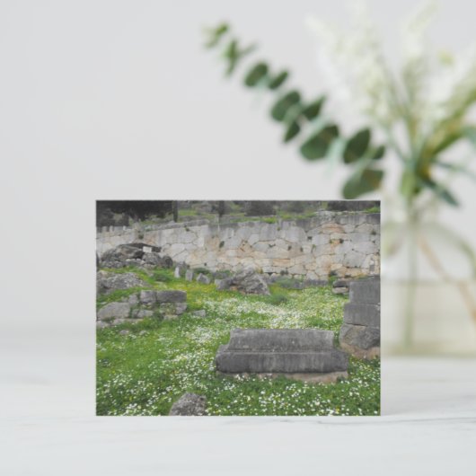 Carte Postale Fleurs dans les ruines de Delphi (Debout devant)