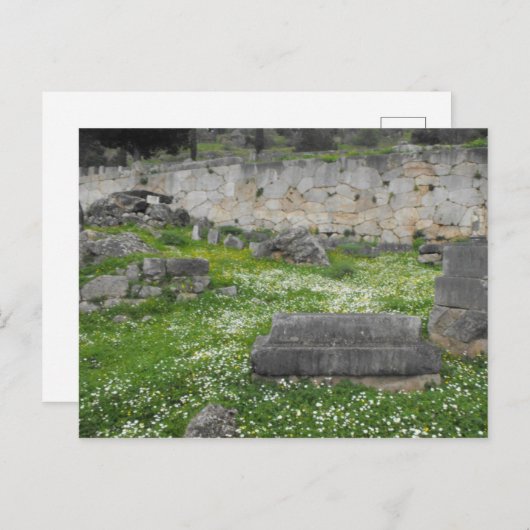 Carte Postale Fleurs dans les ruines de Delphi (Devant / Derrière)