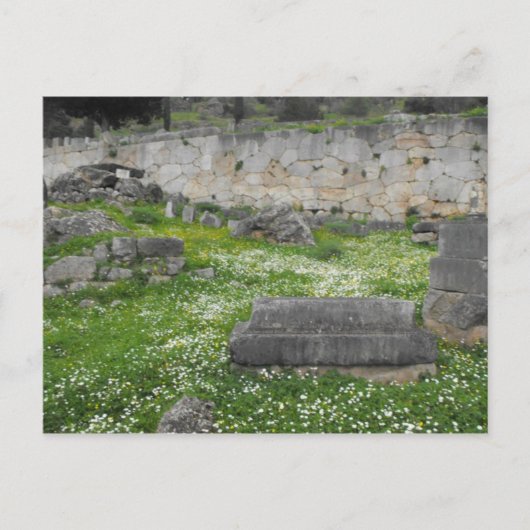 Carte Postale Fleurs dans les ruines de Delphi (Devant)