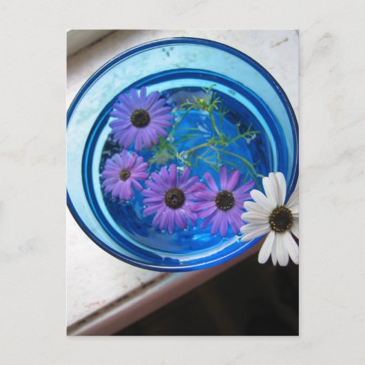 Carte Postale Fleurs dans Piscine Bleue (Devant)