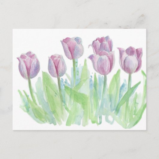 Carte Postale Fleurs d'aquarelle Pastel Mauve Lavender Tulip (Devant)