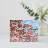 Carte postale Fleurs d'Arbre de Cornouiller Rose A (Debout devant)