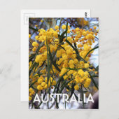 Carte Postale Fleurs d'arbre de mimosa australien jaune 2 (Devant / Derrière)