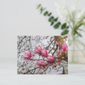 Carte Postale Fleurs d'arbre de tulipe (Debout devant)