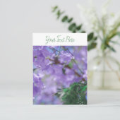 Carte Postale Fleurs d'arbre pourpres Jacaranda (Debout devant)