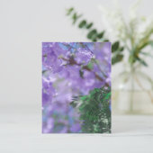 Carte Postale Fleurs d'arbre pourpres Jacaranda (Debout devant)