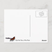 Carte Postale Fleurs d'aster violet au Mont Rainier (Dos)