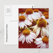 Carte Postale Fleurs d'automne (Devant / Derrière)