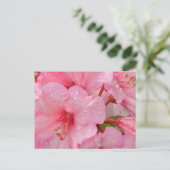 Carte Postale fleurs d'azalée rose (Debout devant)