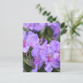 Carte Postale fleurs d'azalée violette 杜 花 鹃 (Debout devant)