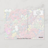 Carte Postale Fleurs de baies d'automne (Dos)