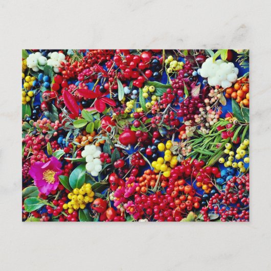Carte Postale Fleurs de baies d'automne (Devant)