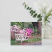 Carte Postale Fleurs de banc de jardin rose (Debout devant)
