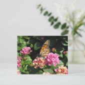 Carte postale Fleurs de beurre (Debout devant)