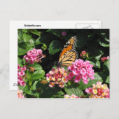 Carte postale Fleurs de beurre (Devant / Derrière)