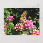 Carte postale Fleurs de beurre (Devant)