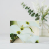 Carte postale Fleurs de bois de chien (Debout devant)