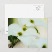 Carte postale Fleurs de bois de chien (Devant / Derrière)