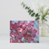 Carte Postale Fleurs de bois de chien (Debout devant)