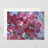 Carte Postale Fleurs de bois de chien (Devant / Derrière)