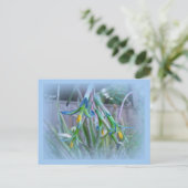 Carte Postale Fleurs de bromeliade sur bleu (Debout devant)