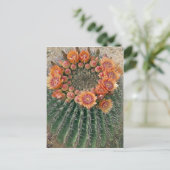 Carte Postale Fleurs de cactus 002d (Debout devant)
