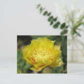 Carte Postale Fleurs de cactus à poires (Debout devant)