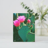 Carte Postale Fleurs de Cactus Beavertail (Debout devant)