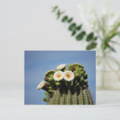 Carte Postale Fleurs de cactus de Saguaro (Debout devant)