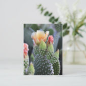 Carte Postale Fleurs de cactus Fleurs roses jaunes (Debout devant)