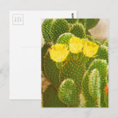 CARTE POSTALE FLEURS DE CACTUS JAUNES (Devant / Derrière)