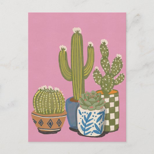 Carte Postale Fleurs de cactus rose (Devant)